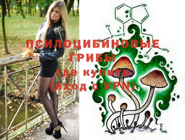 спиды Сатка