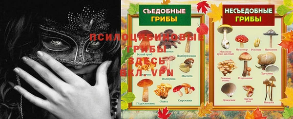 spice Сафоново