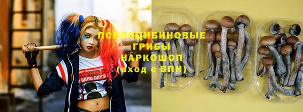 mdpv Балахна