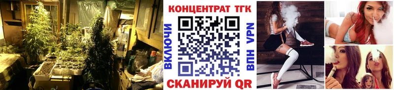 купить наркотики сайты  Пугачёв  Дистиллят ТГК гашишное масло 